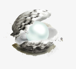 黑白贝壳背景黑白珍珠贝装饰图案高清图片