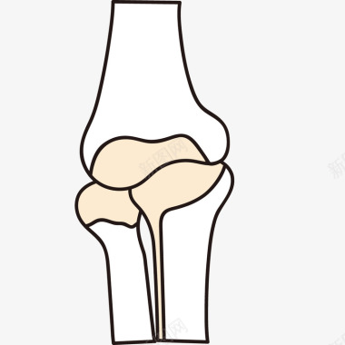 骨头关节形状图标图标