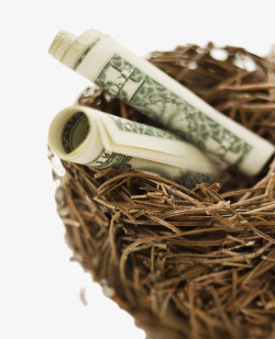 创意鸟巢中的鸡蛋创意鸟巢中的钱币高清图片