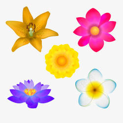 紫色鸡蛋鲜花植物矢量图高清图片