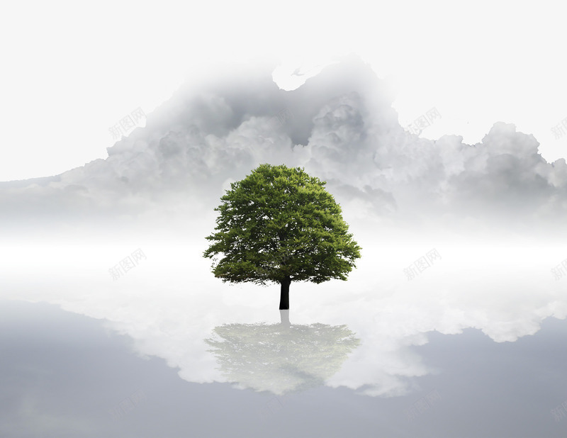 一棵长在湖中央的树木png免抠素材_新图网 https://ixintu.com 一棵树 云彩 长在湖中央的树木