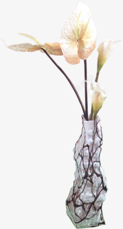 花瓶里的白色鲜花素材