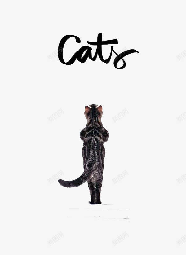 手绘动物片psd免抠素材_新图网 https://ixintu.com 填色练习 手绘 猫咪 英文Cats 黑白
