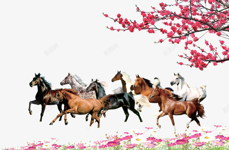 鲜花骏马png免抠素材_新图网 https://ixintu.com 万马奔腾 免费素材 奔跑骏马 梅 骏马 鲜花