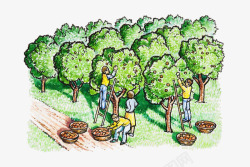 果园丰收彩绘手绘丰收果园图案高清图片