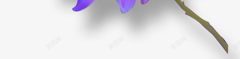 唯美水彩手绘花朵插画png免抠素材_新图网 https://ixintu.com 唯美 手绘插画 手绘花朵 手绘鲜花 水彩花朵 清新 紫色花朵