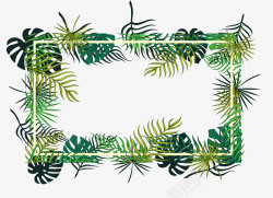 热带植物相框热带树叶装饰框高清图片