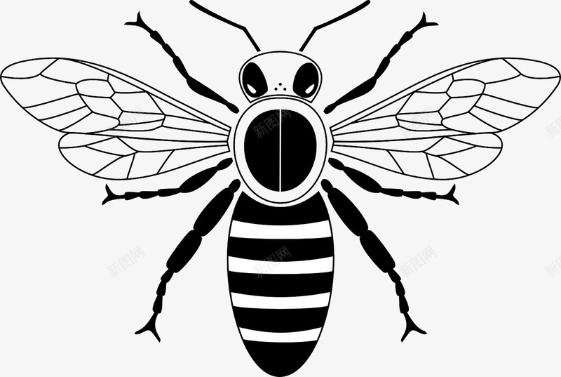 黑白相间的小蜜蜂图标png_新图网 https://ixintu.com 小蜜蜂 昆虫 相间 黄色 黑白