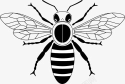 黄黑相间蜜蜂黑白相间的小蜜蜂图标高清图片