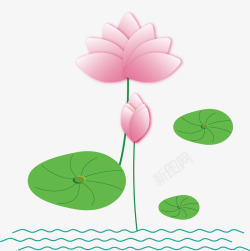 荷花绿色粉红水美丽的水中荷花矢量图高清图片