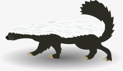 褐色蜜獾黑白色阴影蜜獾矢量图高清图片