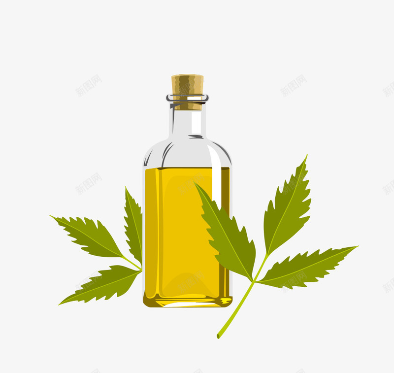 橄榄油矢量图ai免抠素材_新图网 https://ixintu.com 健康 化妆品 护肤 精油 矢量图