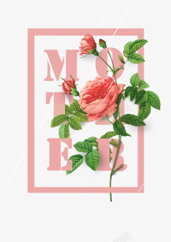 粉色母亲节英文花朵边框素材