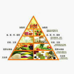 均衡金字塔中国营养膳食金字塔高清图片
