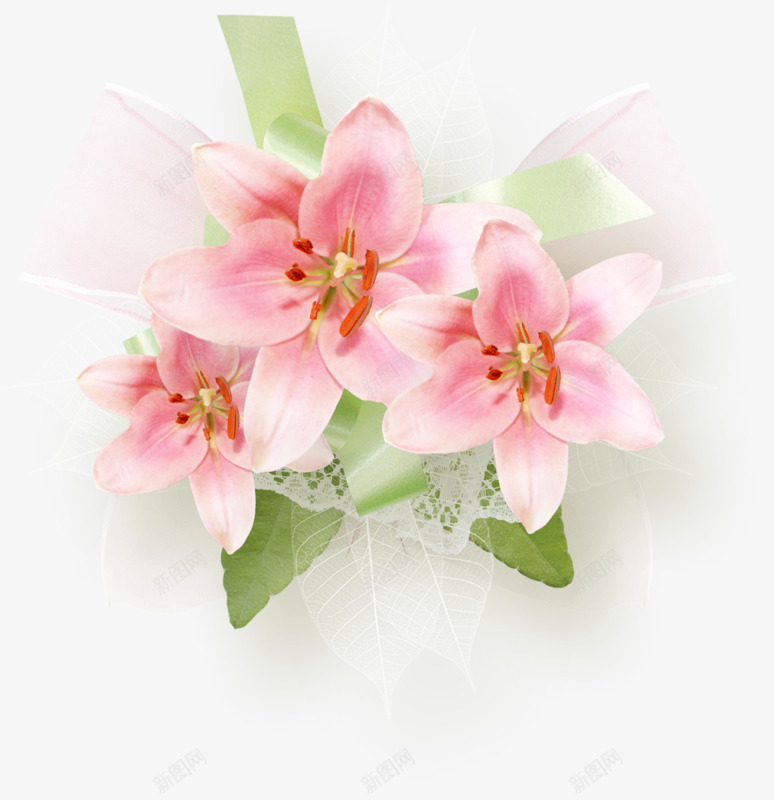 我有一束花png免抠素材_新图网 https://ixintu.com 植物 粉红色 绿叶 花朵 鲜花