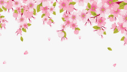 顶部花朵粉色鲜花顶部背景图高清图片