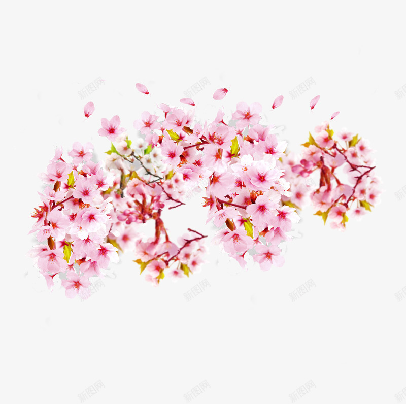 粉红色的花朵与花瓣图psd免抠素材_新图网 https://ixintu.com 一堆花瓣 免抠 免抠图 粉红色 花 花朵 花瓣 鲜花