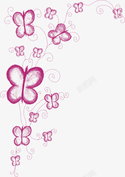 粉色蝴蝶花素材