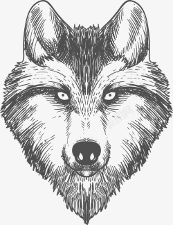 狼头图腾素描狼头高清图片