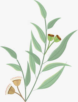 波希米亚风格树叶花朵卡通桉树叶矢量图高清图片