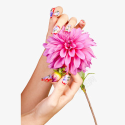 女人的手指拿着鲜花的美甲手指高清图片