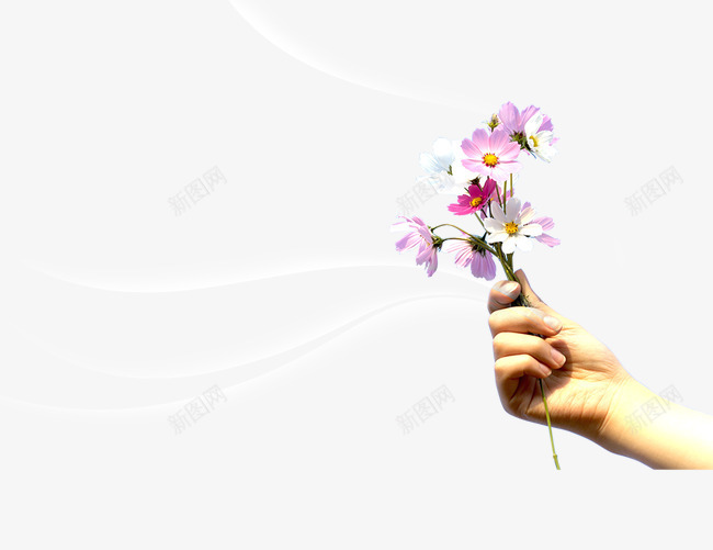 星光下灰色的花朵PSDpng免抠素材_新图网 https://ixintu.com 手拿小花 星光下 紫色花 花朵