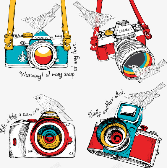 相机与鸟png免抠素材_新图网 https://ixintu.com 小清新 手绘风格 插画 文艺 相机 鸟