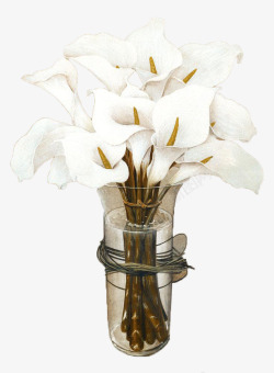 油画作品玻璃花瓶中的白色马蹄莲油画作品高清图片