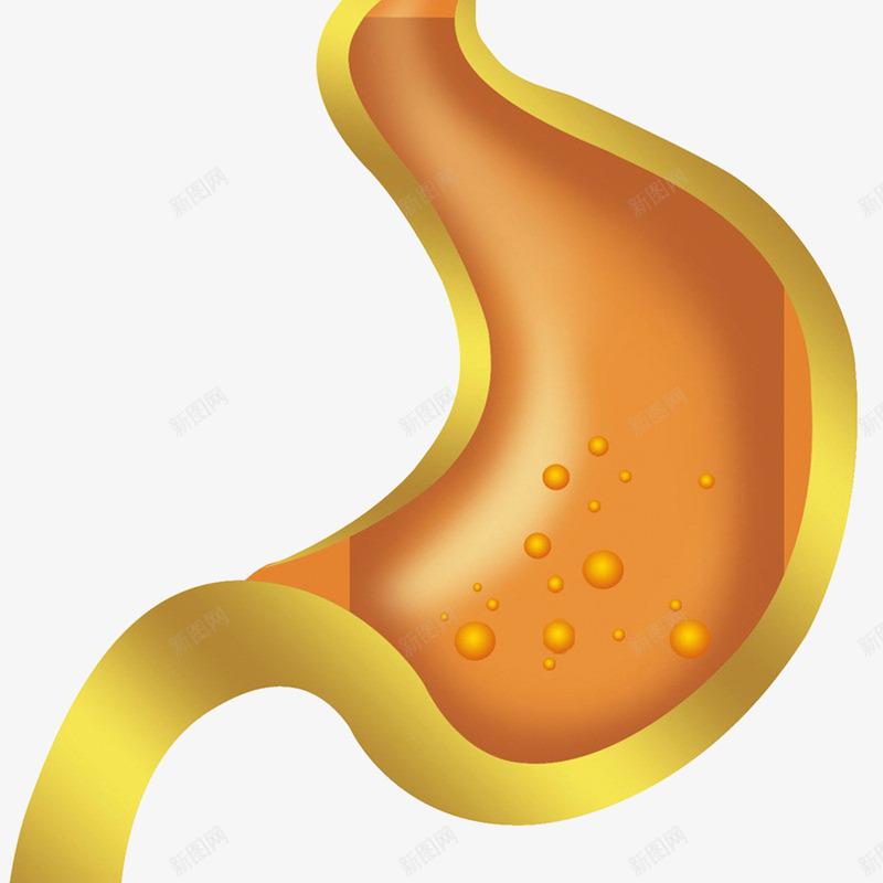 胃部消化插画png免抠素材_新图网 https://ixintu.com 健康 插画 胃壁 胃液 胃肠