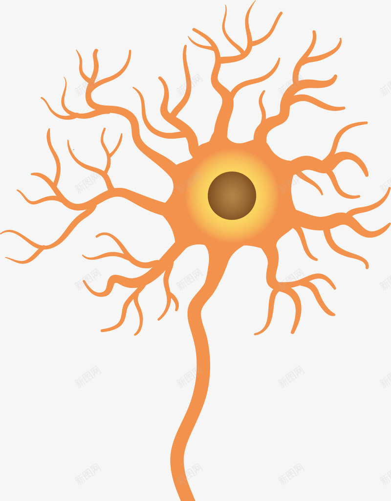 反光手绘神经细胞png免抠素材_新图网 https://ixintu.com 人体组成 人体细胞 反光 手绘风格 矢量细胞 细胞 风格