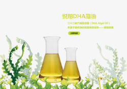 藻油DHA藻油高清图片