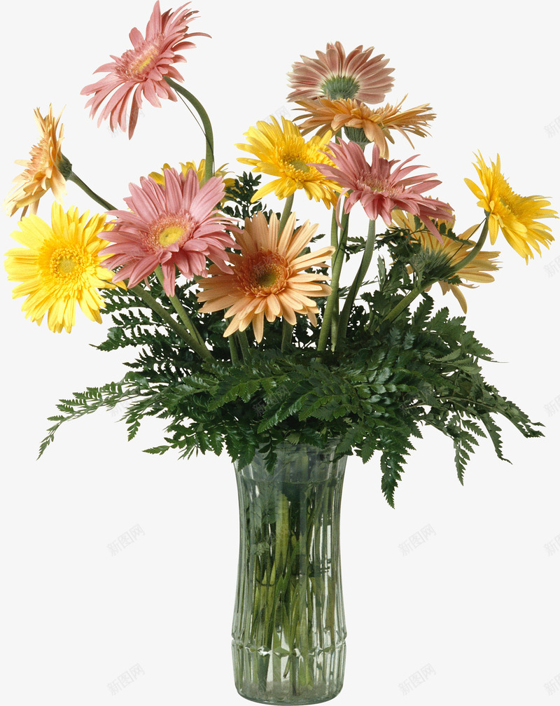 花瓶和鲜花png免抠素材_新图网 https://ixintu.com 免抠 免抠图 玻璃花瓶 花瓶 装饰 装饰画 鲜花