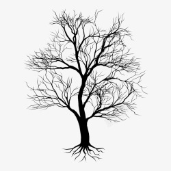 黑白大树枝繁叶茂的手绘古树高清图片