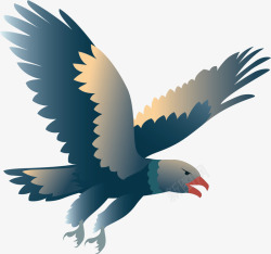 鸟类秃鹰飞翔的彩色秃鹰矢量图高清图片