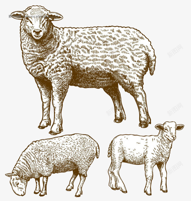 草原生活png免抠素材_新图网 https://ixintu.com 动物 手绘羊群 牧羊人 线描 羊群 衣服 装饰