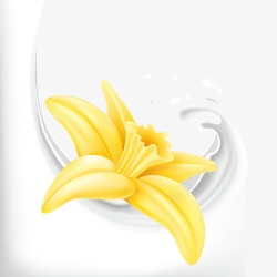黄色百合百合花牛奶矢量图高清图片