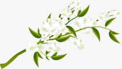梨花手绘白色梨花高清图片