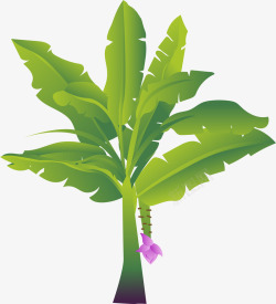 热带树绿叶卡通风格香蕉树矢量图高清图片