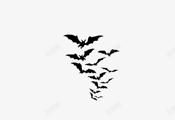 神秘黑白蝙蝠群png免抠素材_新图网 https://ixintu.com 万圣快乐 万圣节 神秘 蝙蝠