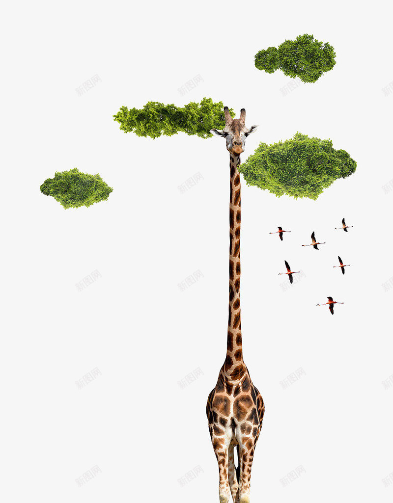 创意长颈鹿绿云彩图案png免抠素材_新图网 https://ixintu.com 创意图案 绿云彩图案 长颈鹿