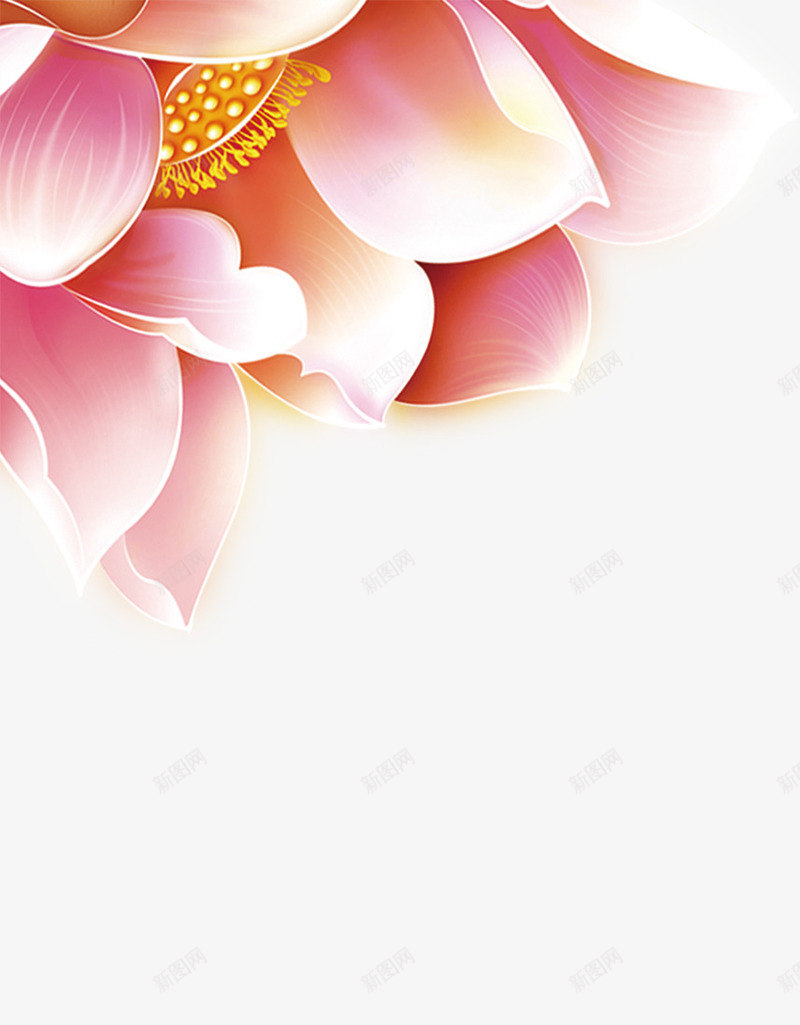荷花边框png免抠素材_新图网 https://ixintu.com 背景素材 荷花 装饰 边框素材 鲜花