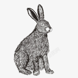 黑兔子黑兔子矢量图高清图片