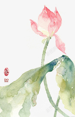 荷花插画素材