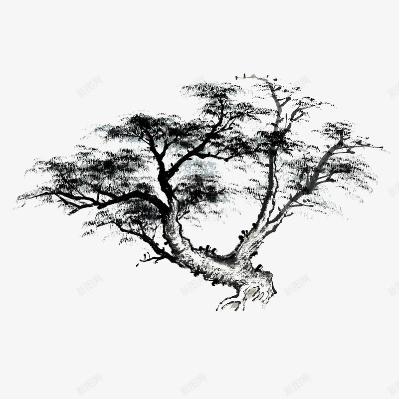 黑白手绘古树png免抠素材_新图网 https://ixintu.com 填色练习 大树 年代久远的古树 手绘卡通 手绘古树 手绘图 树木 素描图 绘画 黑白手绘图