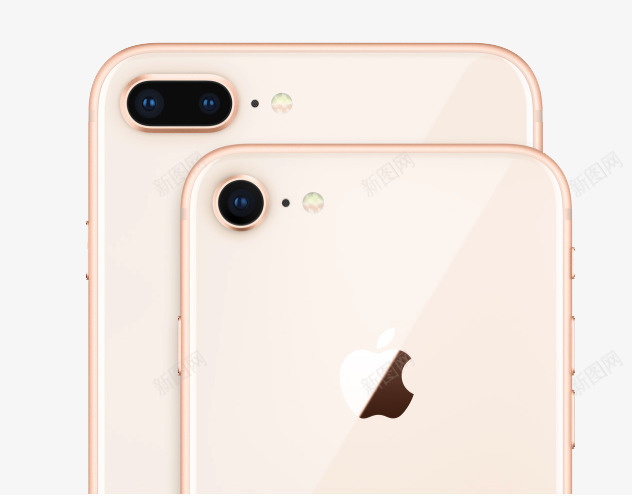 Iphone8png免抠素材_新图网 https://ixintu.com 8 8plus Iphone 粉色Iphone 粉色苹果8 背面 苹果8 苹果手机8