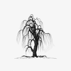黑白大树枝繁叶茂的手绘古树剪影高清图片