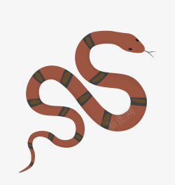 一条蛇一条蛇高清图片