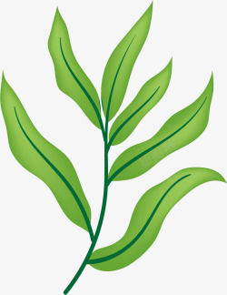 桉树卡通植物桉树叶矢量图高清图片