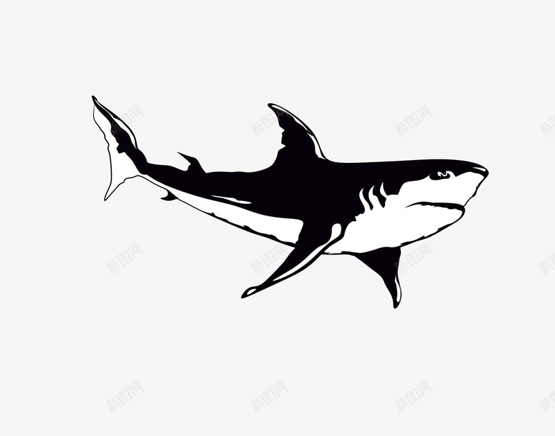 鲨鱼png免抠素材_新图网 https://ixintu.com 动物 卡通 海洋元素 鲨鱼 黑白