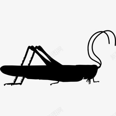 蚱蜢昆虫的侧视形状图标图标